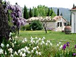 farm holidays near the warm water spa in Saturnia - Maremma - Tuscany